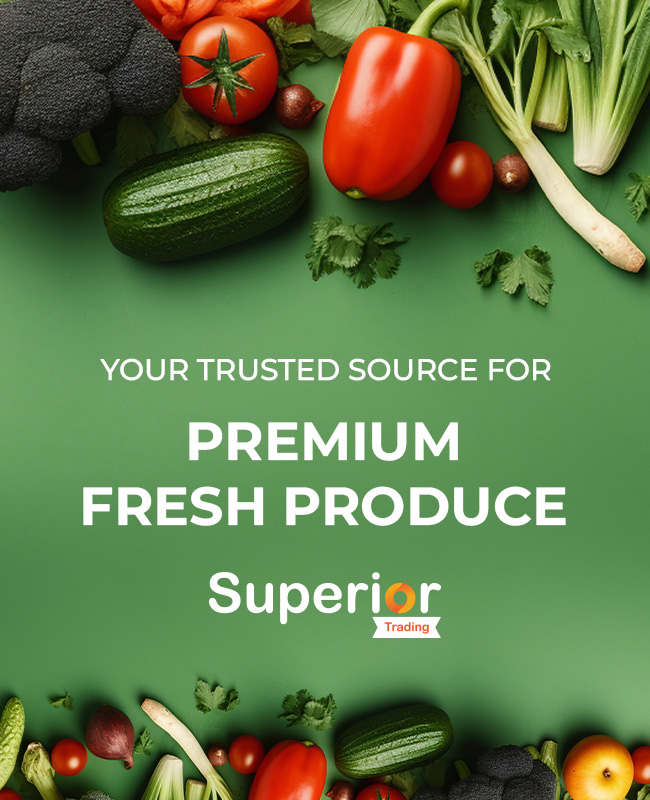 home-main-banner-first